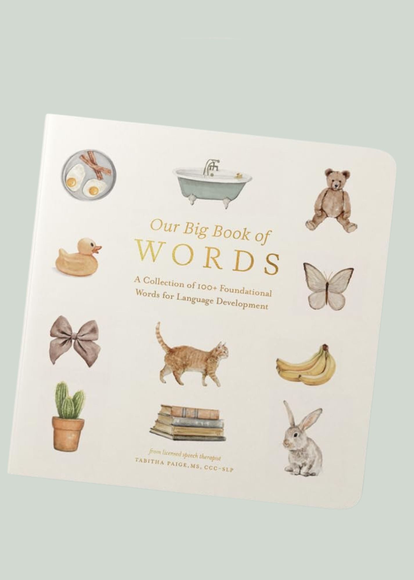 Our Big Book of First Words