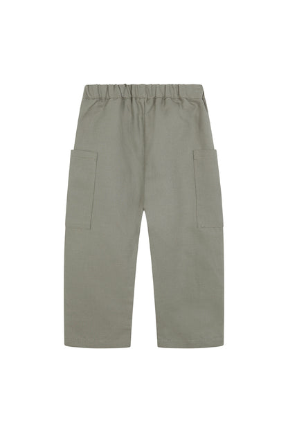 Cargo Liquen