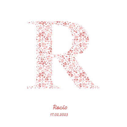 Cuadro Inicial Rosa